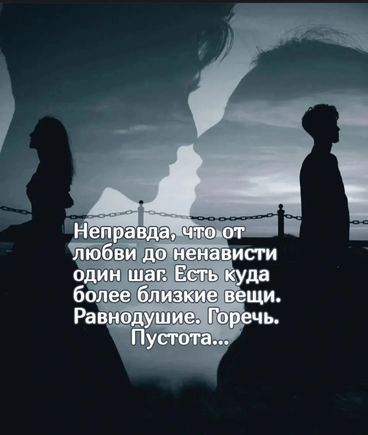 Цитаты жизни