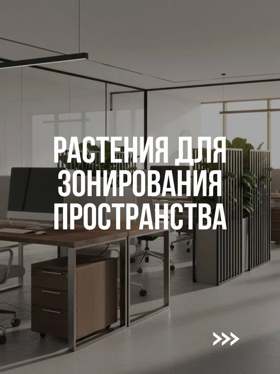 Актуальная подборка растений для зонирования пространства