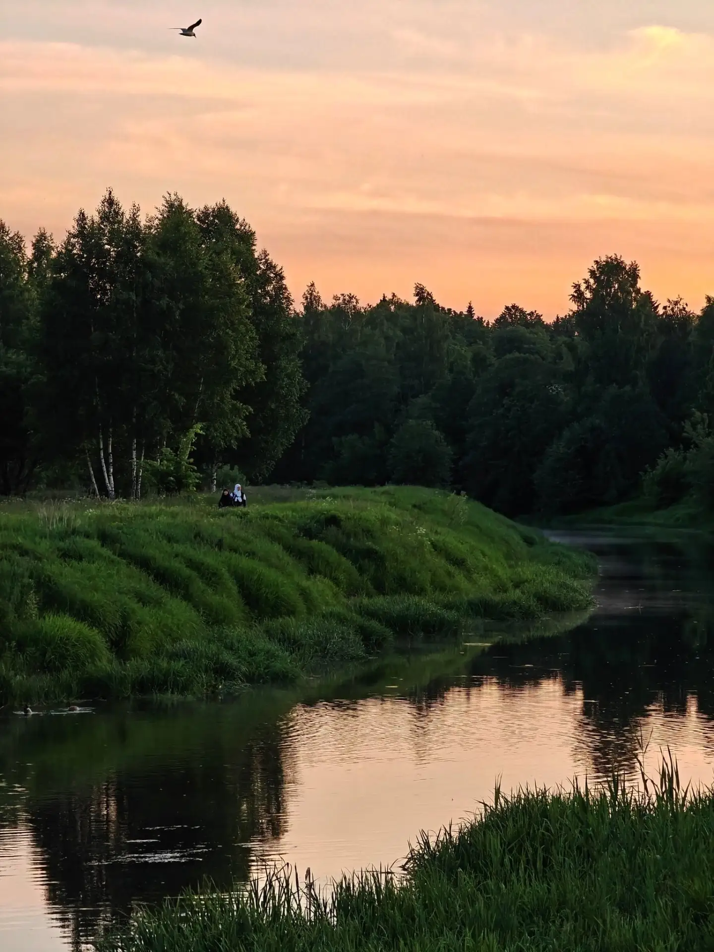 Клязьма пойма реки☀🌤🌿