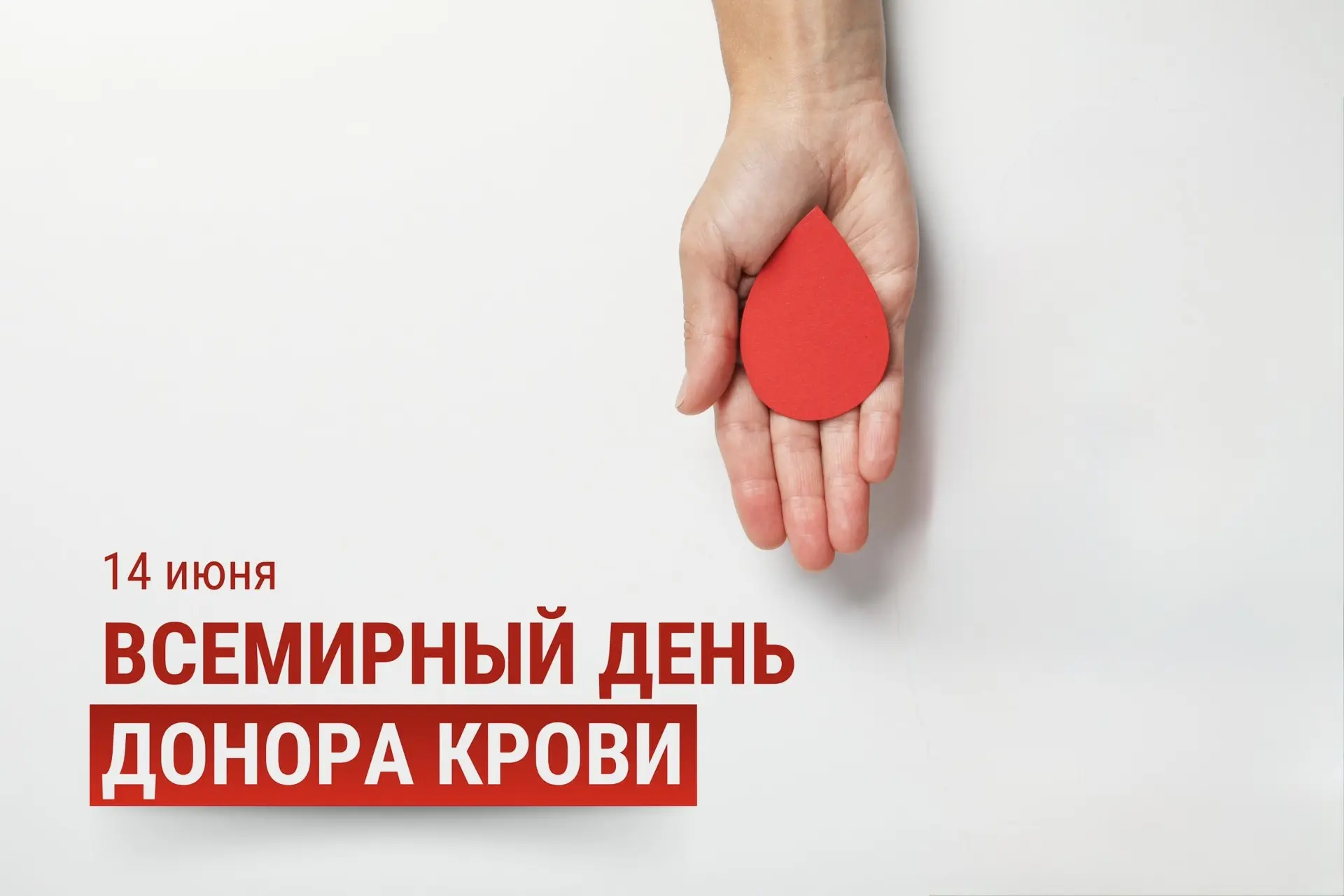 🗓 14 июня во всем мире отмечается Всемирный день донора крови🩸💉
Донорство-это настоящая благотвор