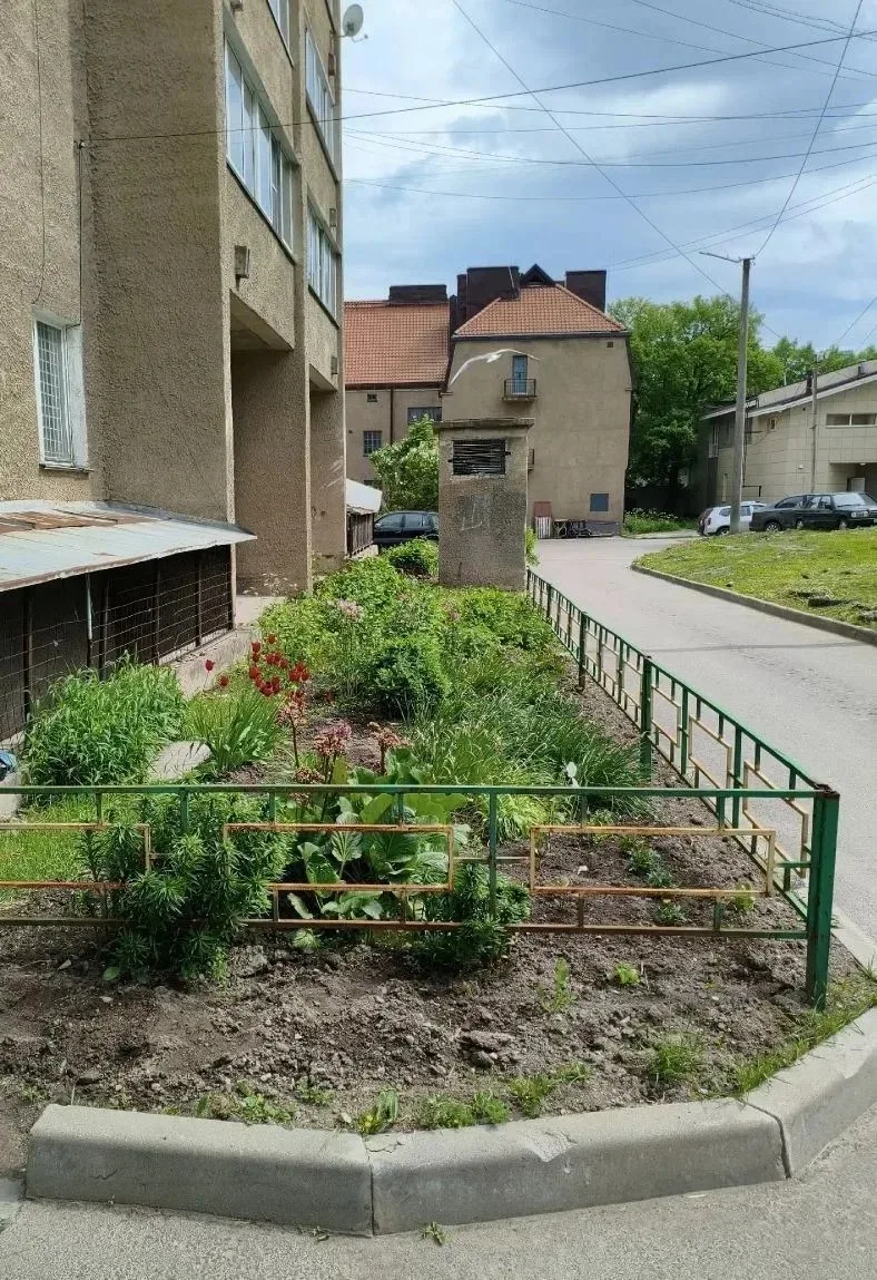 Как приятно проходить по двору дома № 13 по ул.Кирова. 
Эту красоту поддерживает во дворе, соседству