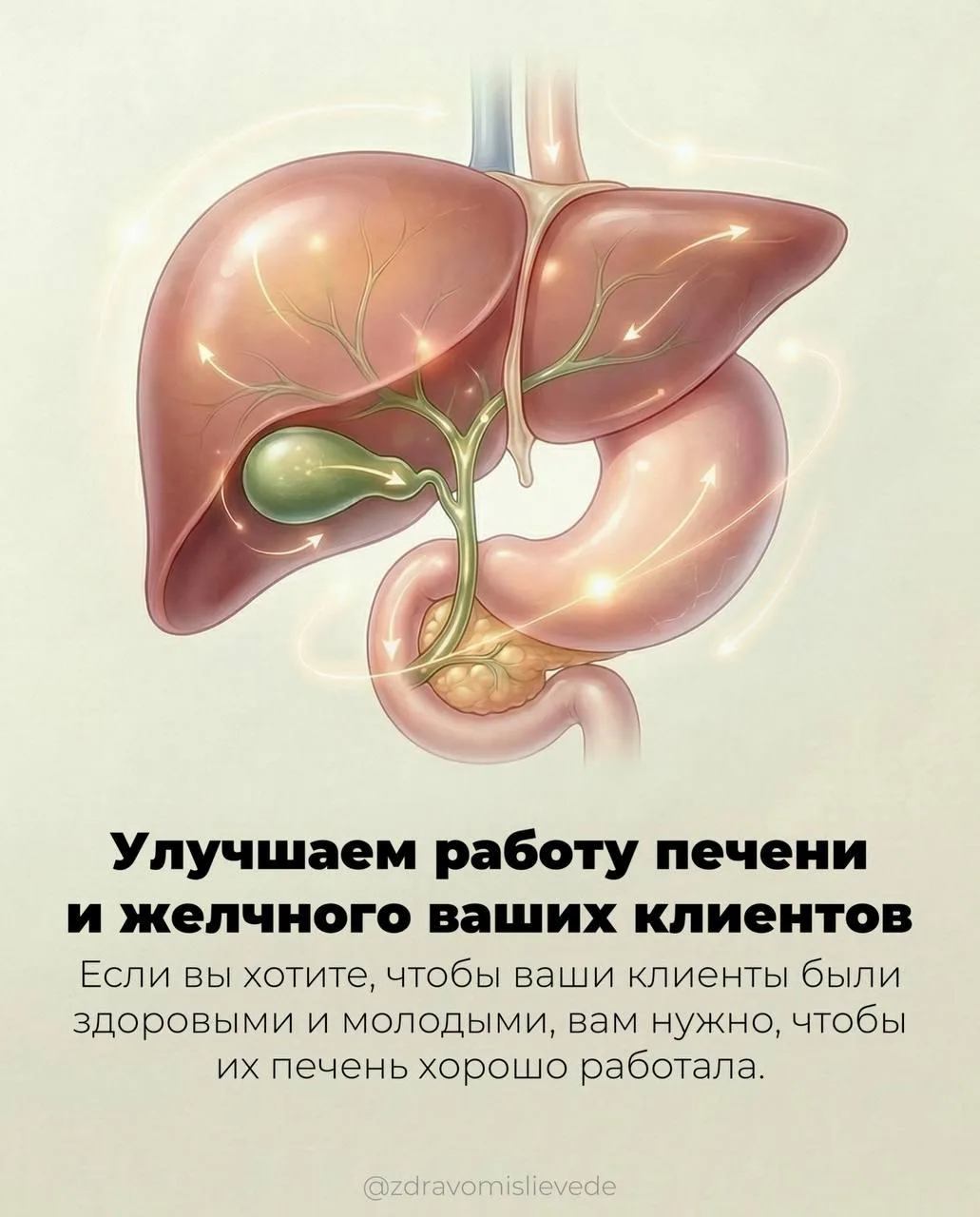 8 шагов по коррекции микробиома  Факт: ни одного дня мы бы не смогли прожить без микроорганизмов. Он