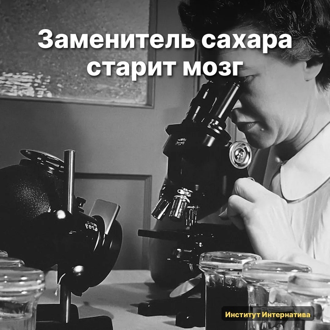 🧠 На arXiv появилась работа. Аккуратно разворачивает то, что я считал понятным.