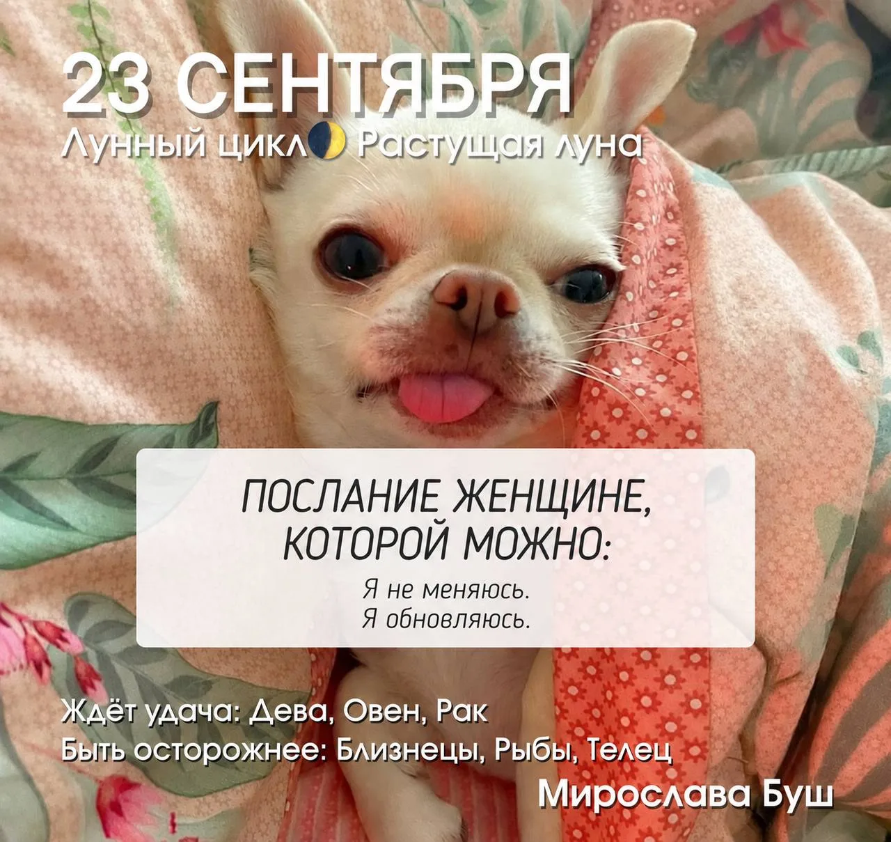 23 сентября РЕКОМЕНДАЦИИ 🔥