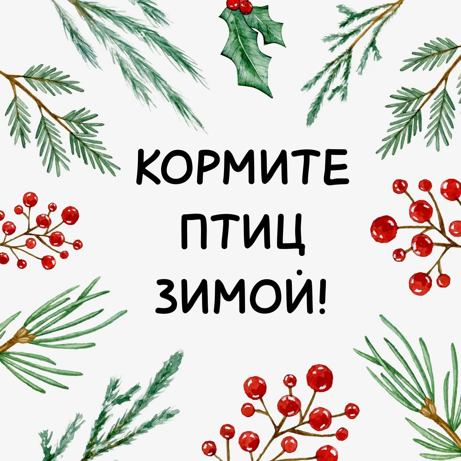 🐦 Подкармливая птиц зимой, мы спасаем не только их, но и деревья.

Мы в тг
Мы в Макс