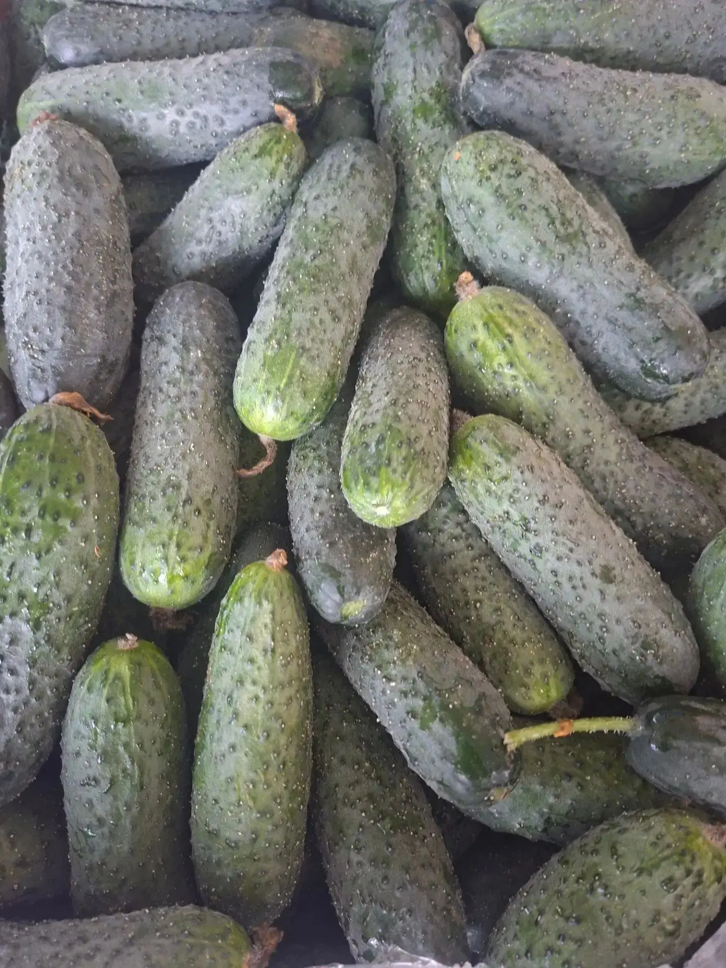 🍅🌶️🥒 Овощная палитра для ваших любимых блюд — в нашем магазине!