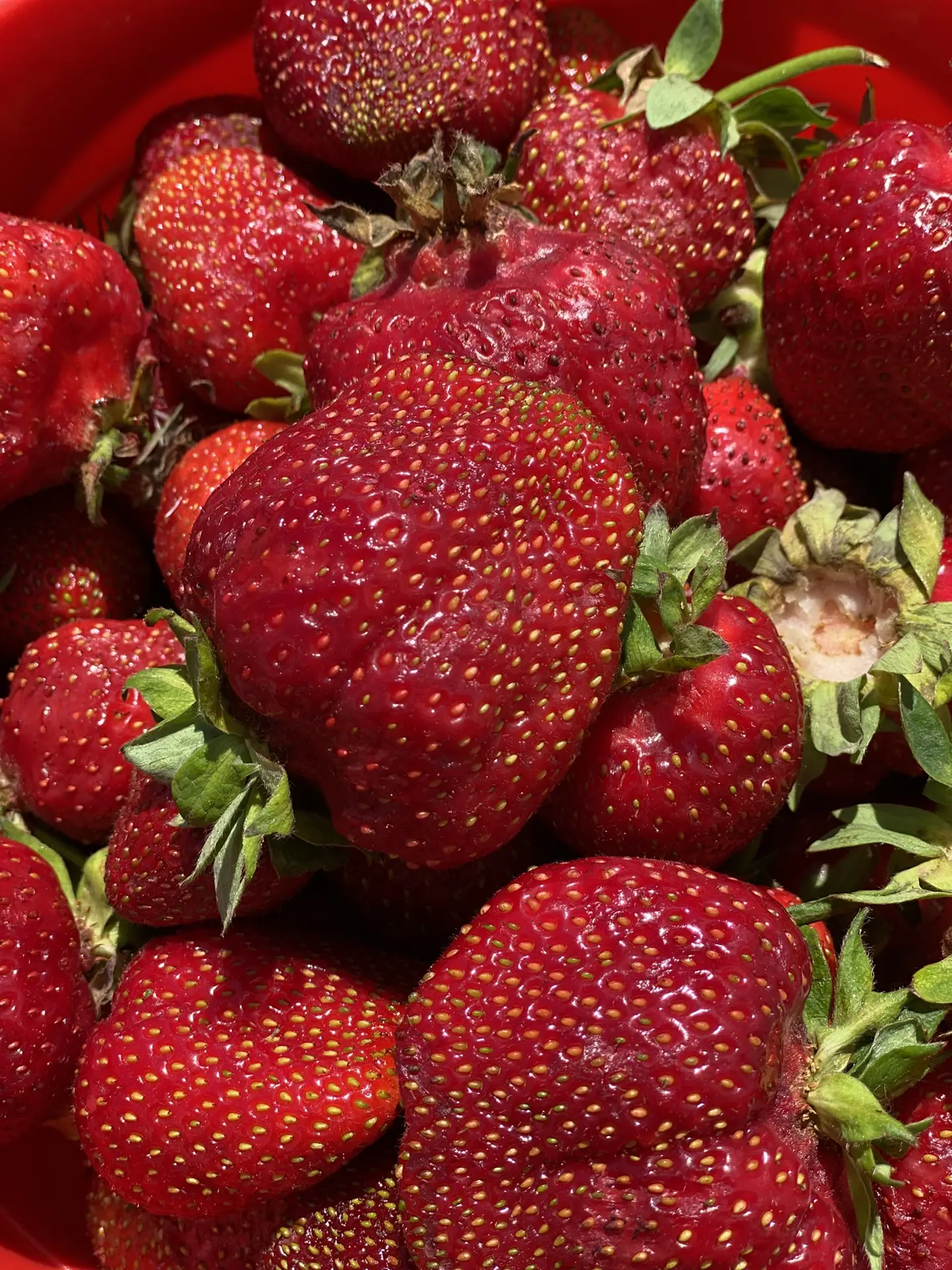 ❗️Клубники сталось 7 ведерков 🍓