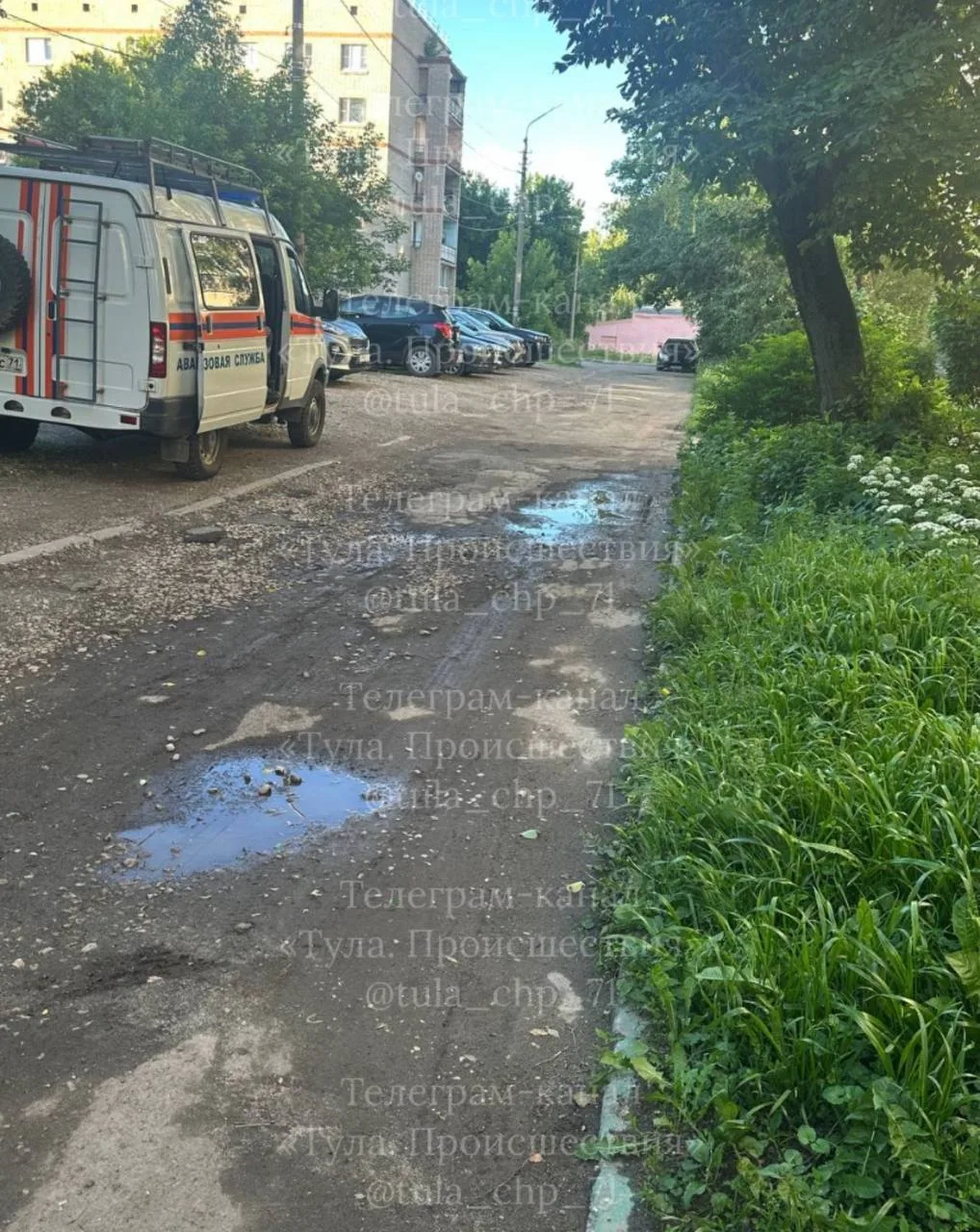 От подписчика: