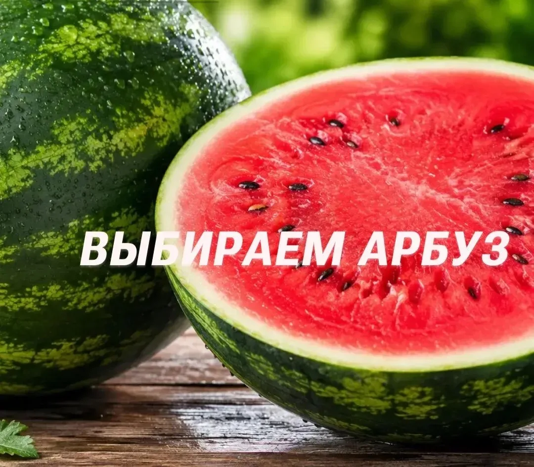 🍉 🍉 🍉 Порадуйте себя сочным лакомством, но безопасно.