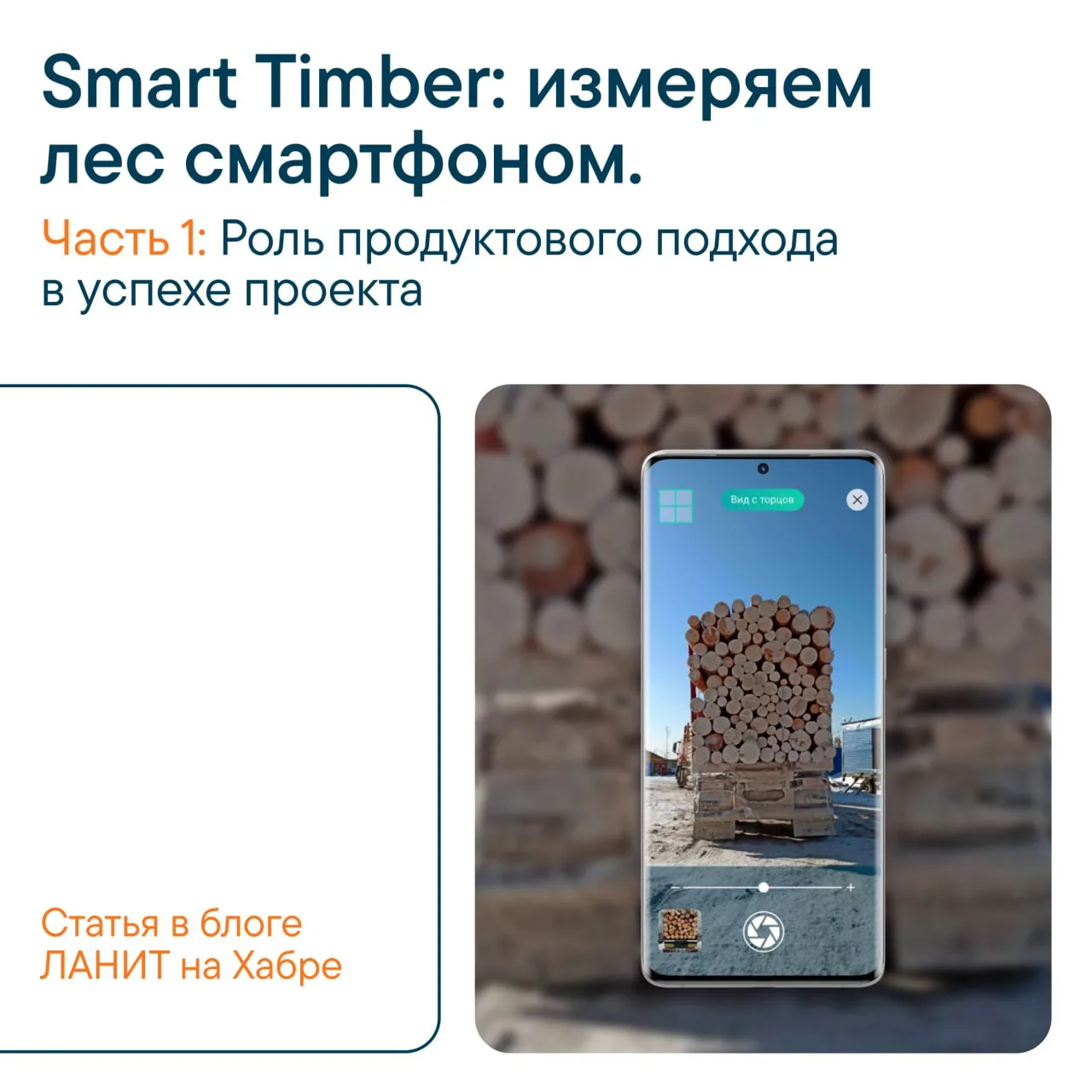 Как измерить лес смартфоном и не прогореть на контрафакте 💡