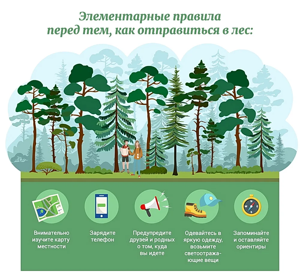 Лесные прогулки - что может быть лучше!