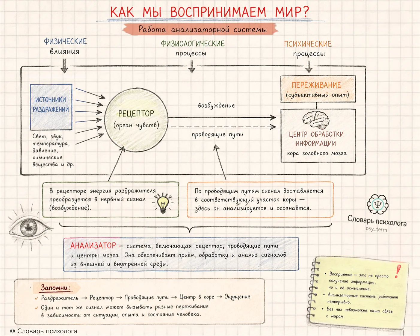 #o_term, #схемы_term