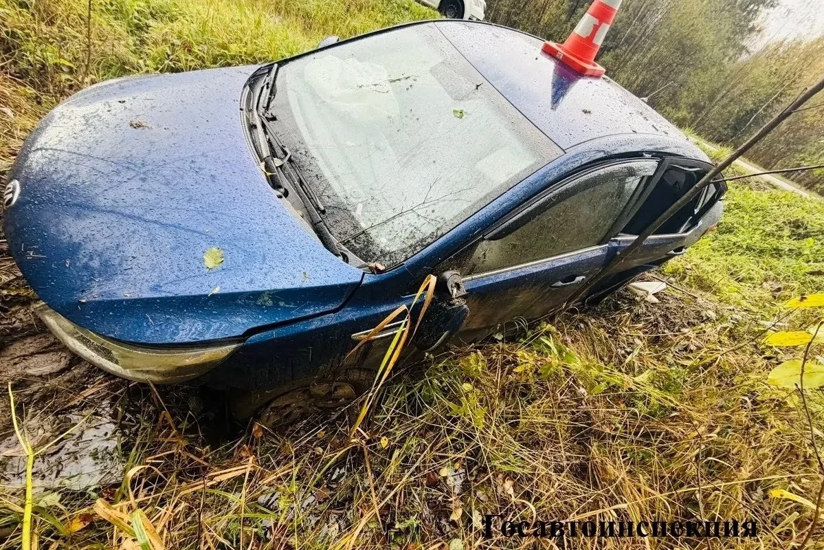В Череповецком районе автомобиль улетел в кювет, пострадала женщина. Авария произошла н...