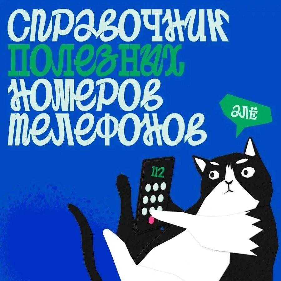 Куда звонить, если нужна скорая, полиция или МЧС?

Собрали все экстренные номера в одном месте. Лист