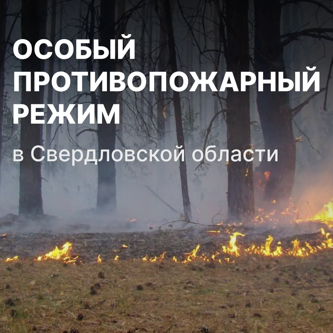 🔥С 25 апреля 2026 года на территории Свердловской области установлен особый противопож...