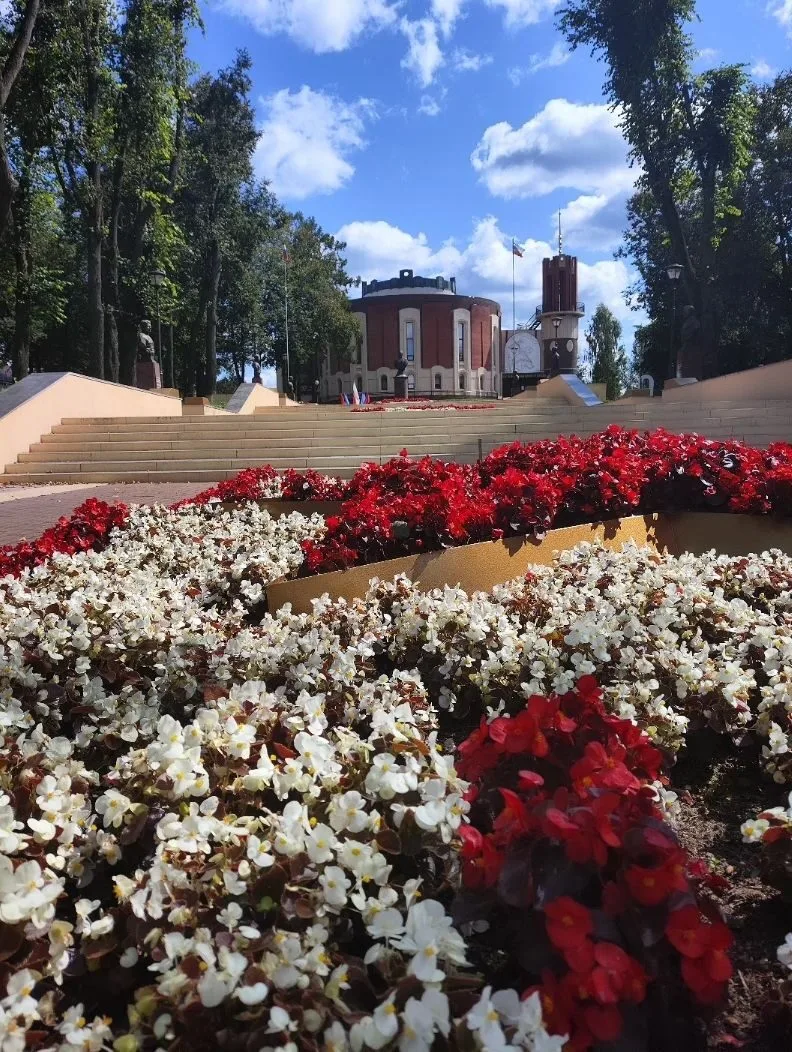 В Жукове благоустроят две пешеходные зоны и сквер 🌿