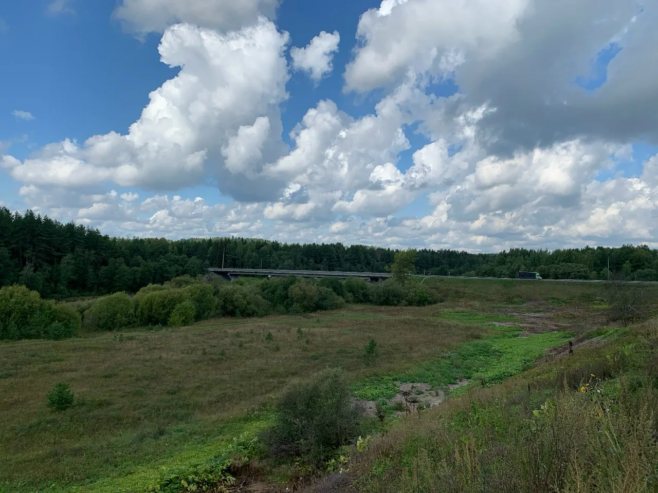 В Верхнекамском районе нашли заблудившихся пенсионеров