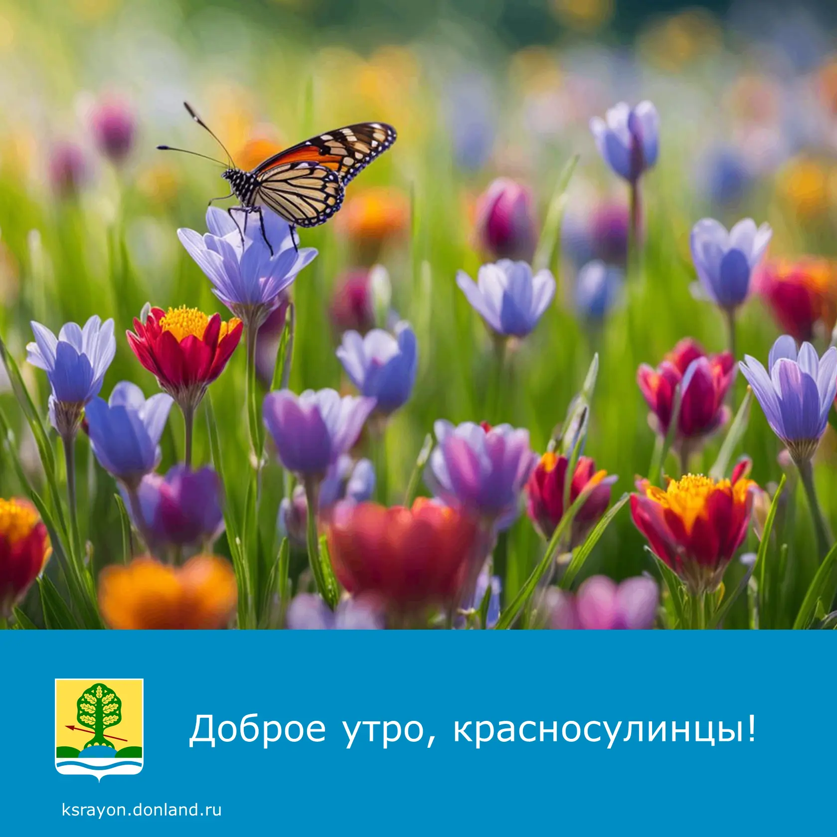 Доброе утро! На календаре 28 августа.