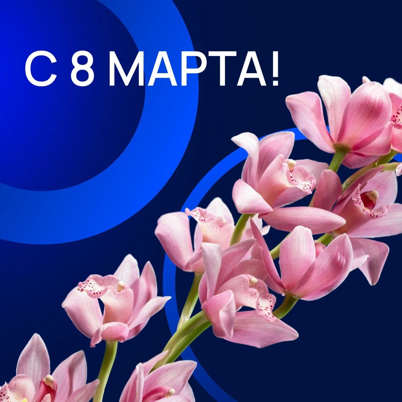 Милые женщины! Все самое лучшее и доброе мы связываем с вами: нежность, тепло дома, красоту и вернос
