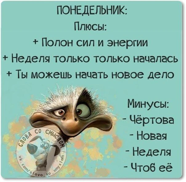 Наш канал ЛУЧИК РАДОСТИ ✨
