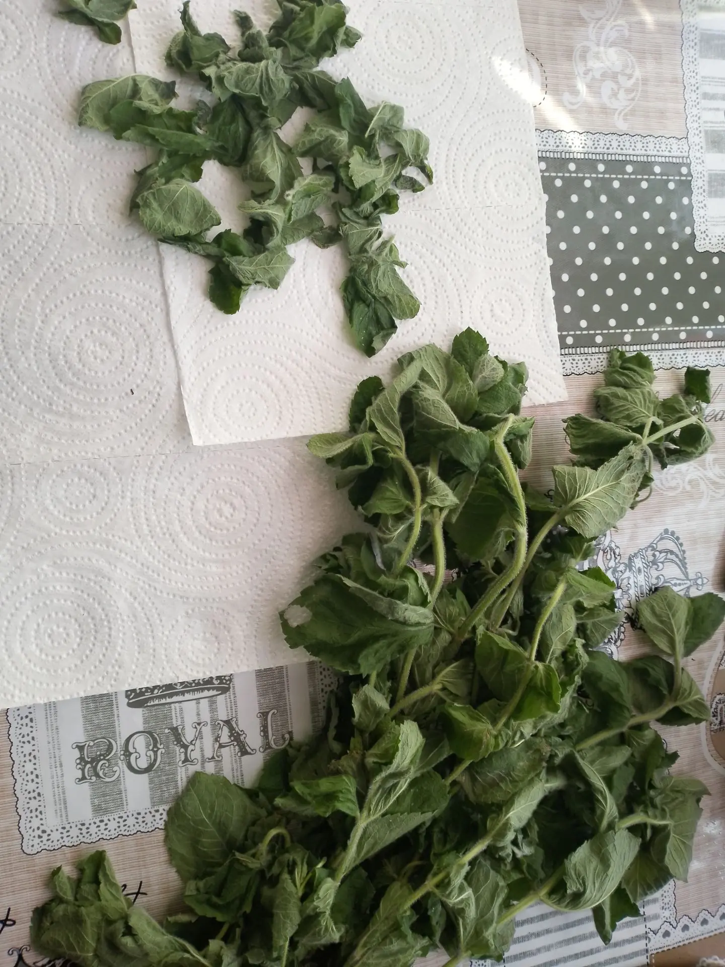 Вчера приехала с работы, а дома сюрприз 😊