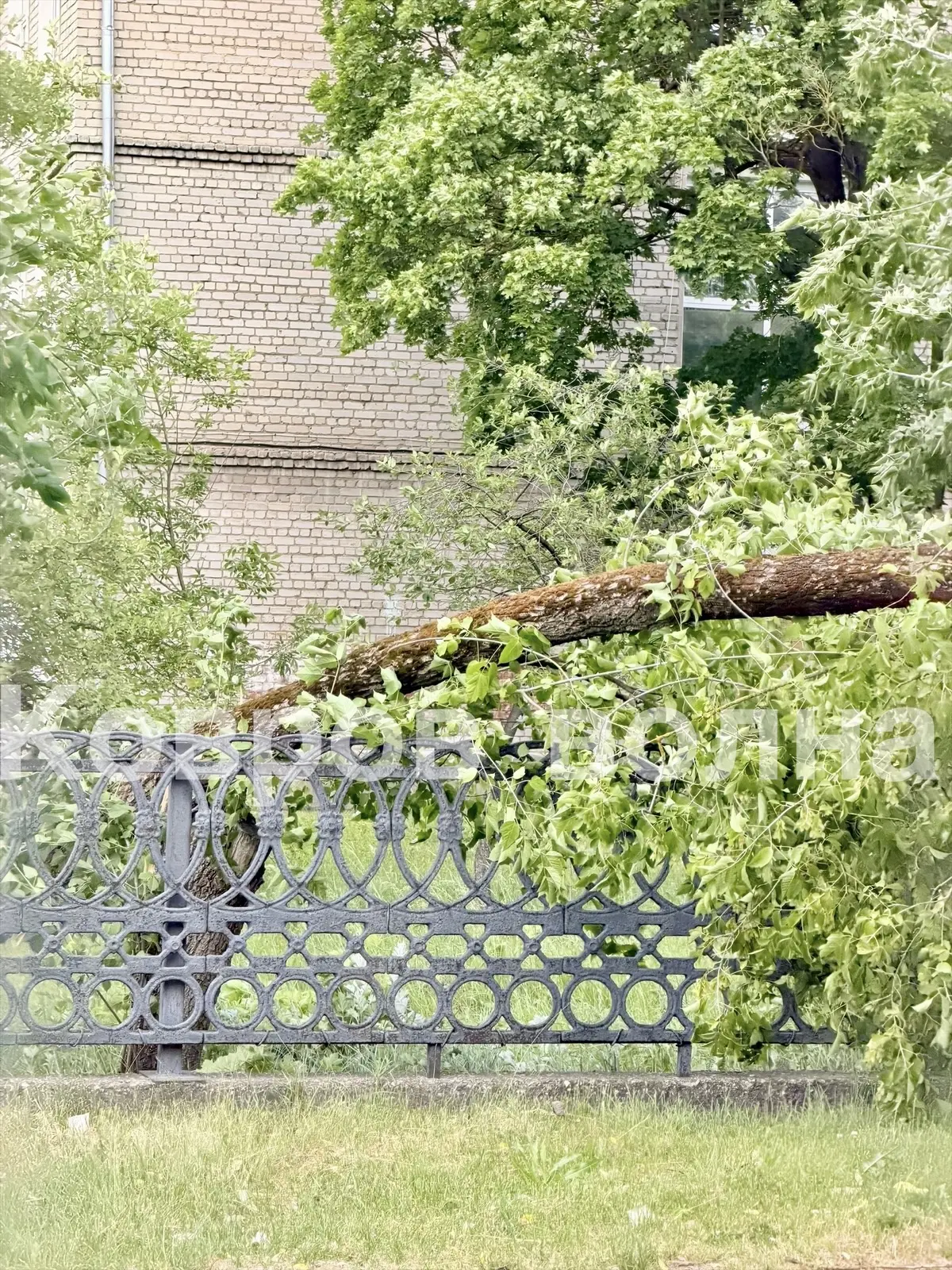 У 11 ШКОЛЫ УПАЛО ДЕРЕВО! ⚠️❗️

В городе бушует сильный ураган! Уже есть первые последствия: у 11‑й ш