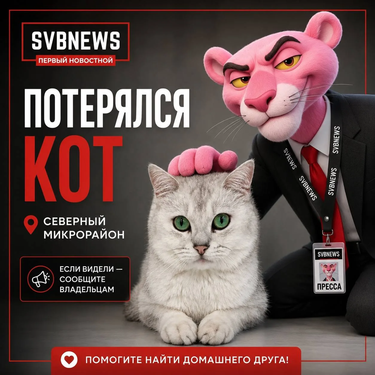В Северном микрорайоне потерялся домашний кот светлого окраса с зелёными глазами.

Животное могут за