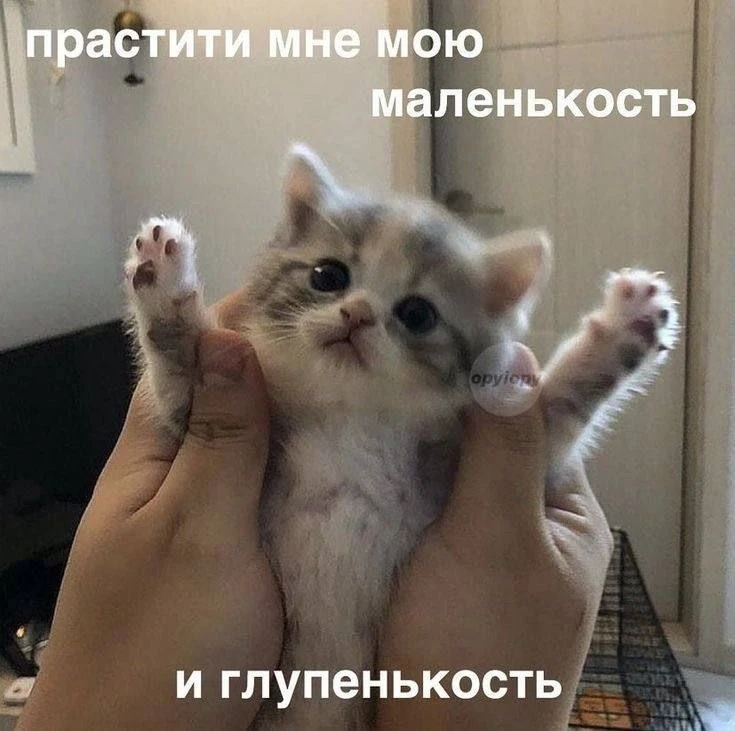 🙏 День извинений отмечается сегодня