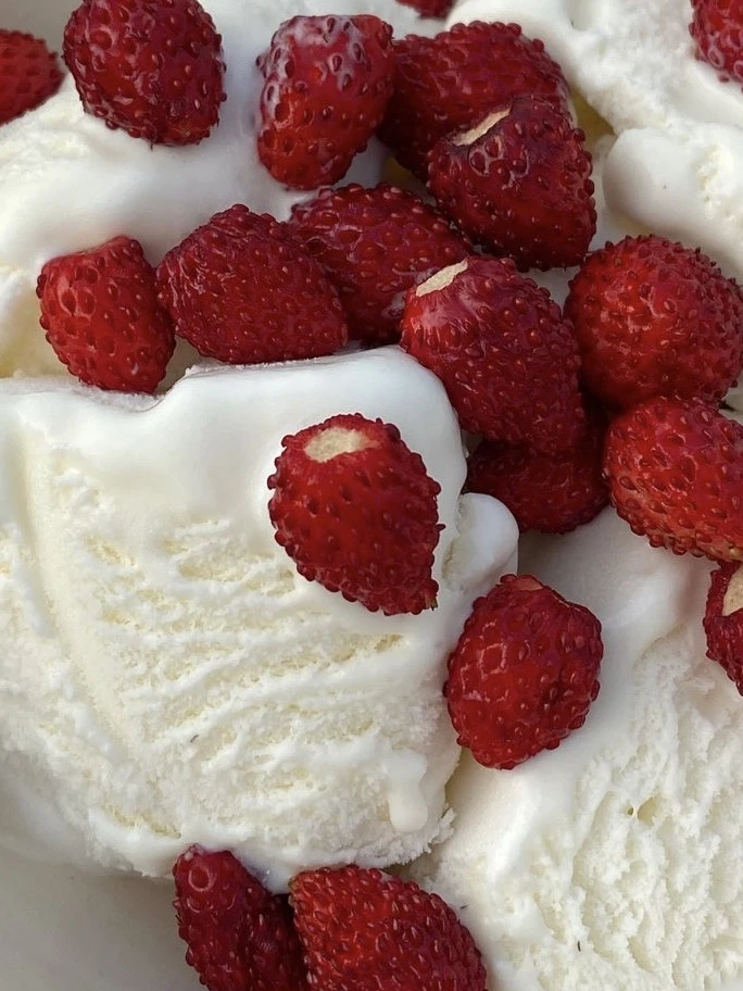 Когда десерт вдохновляет на образ, и получается также вкусно и сочно 🍓

Топ 2mymoods
Брюки Rosi 
Су