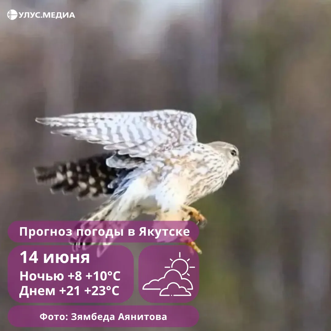 🌦 Дожди, мокрый снег и арктический ветер: о погоде в Якутии 14 июня