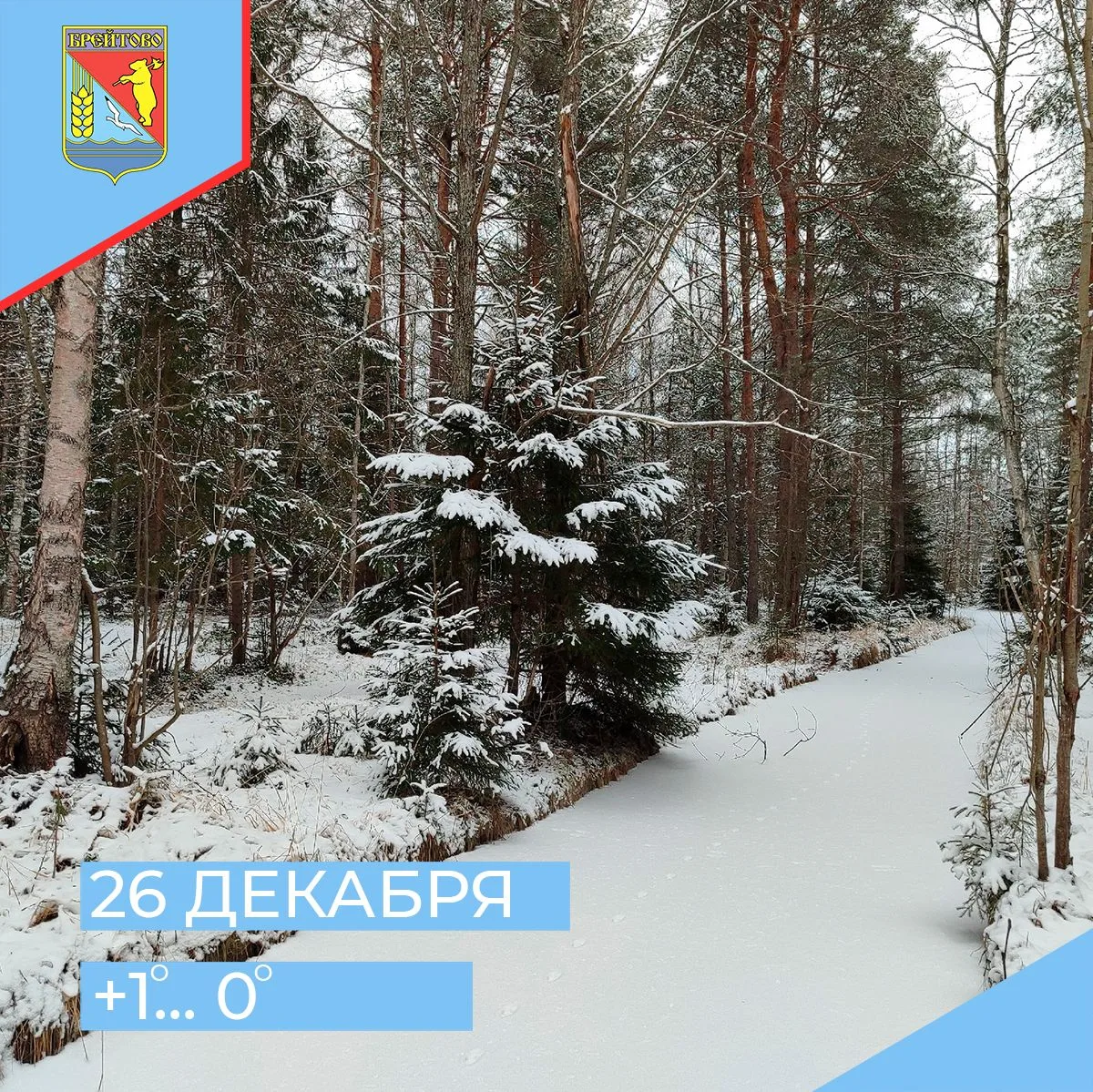 ❄ Погода на 26 декабря: днем +1, ночью 0. По данным Ярославского гидрометцентра, днем о...