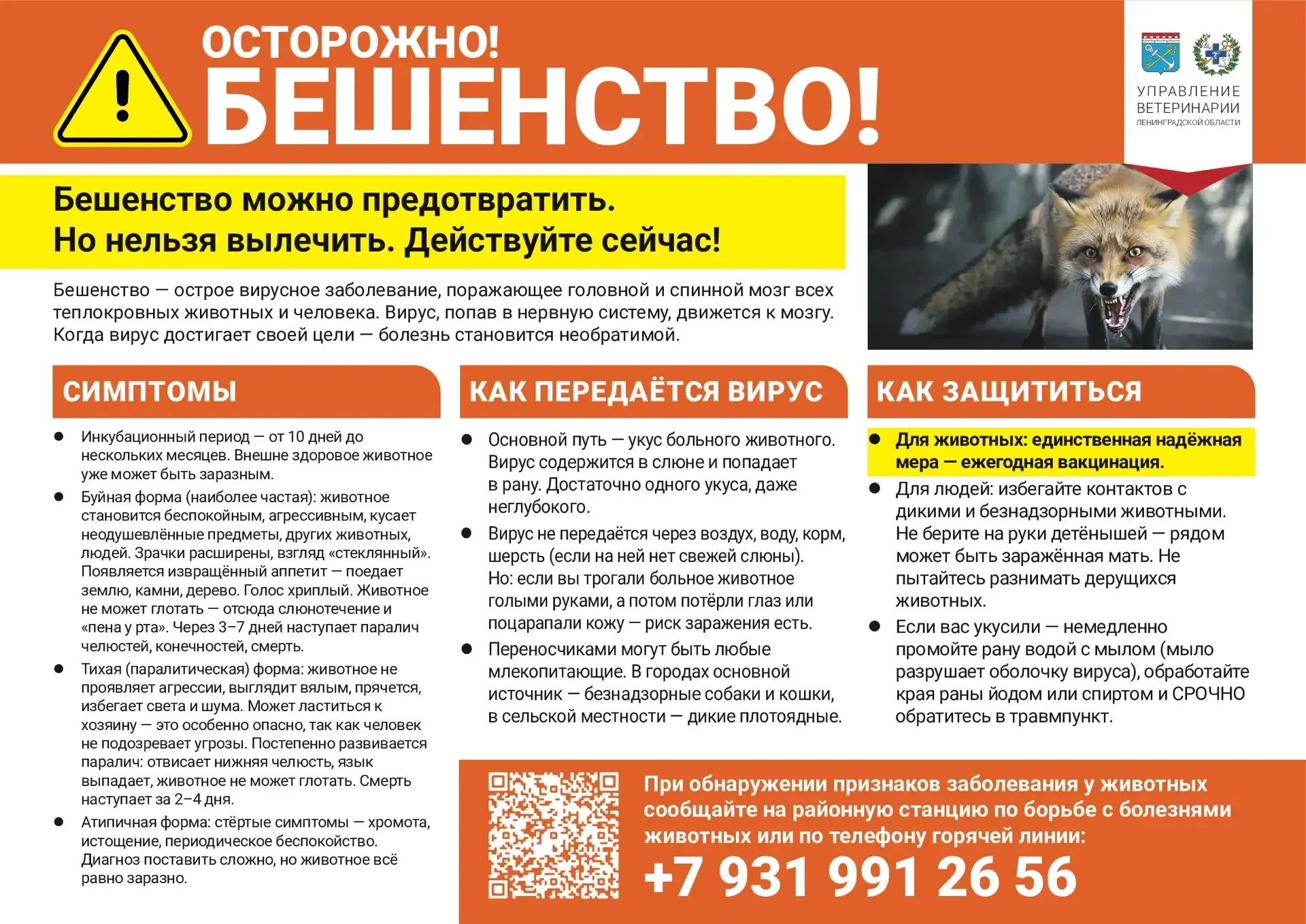 #КингисеппскийРайон