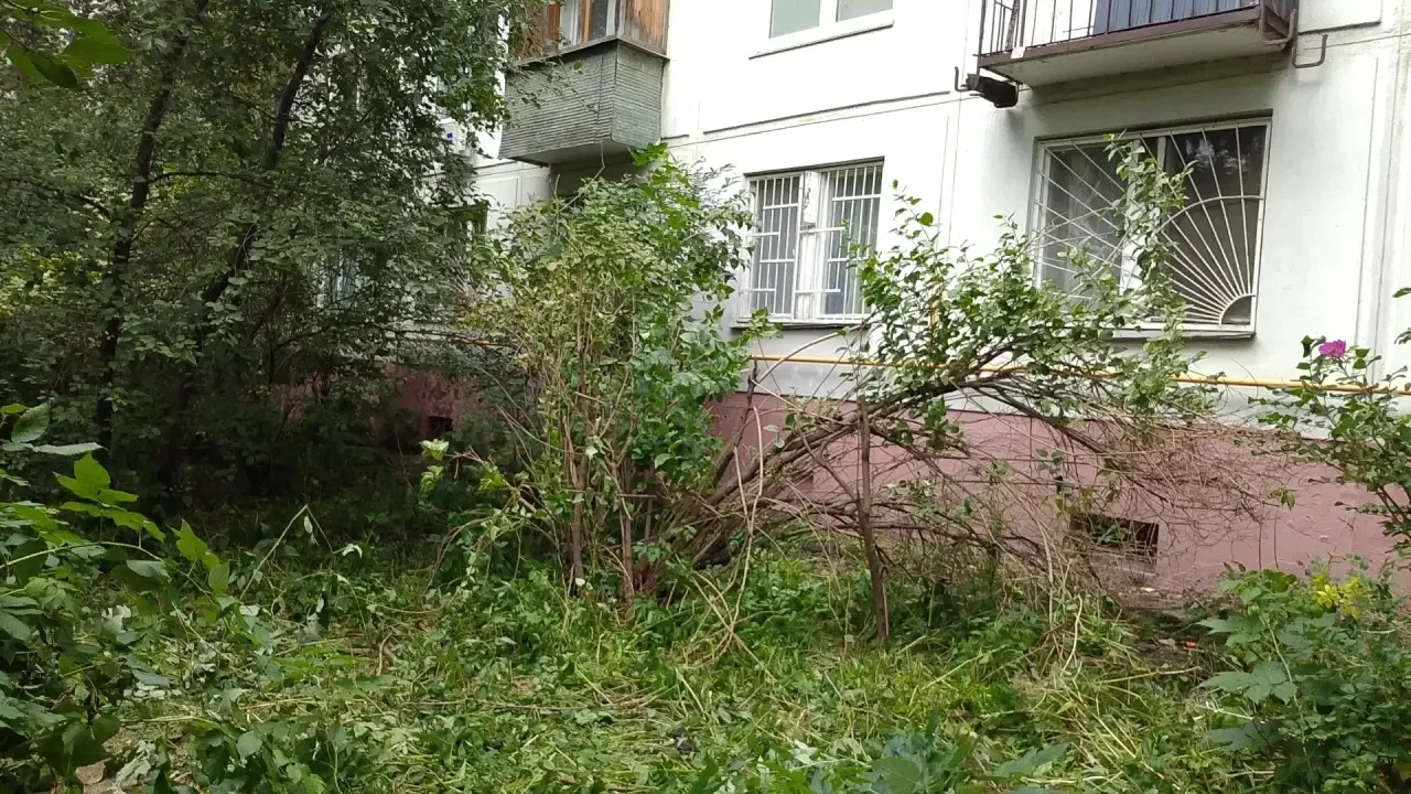 Продолжаем рубрику #говорящаяголова