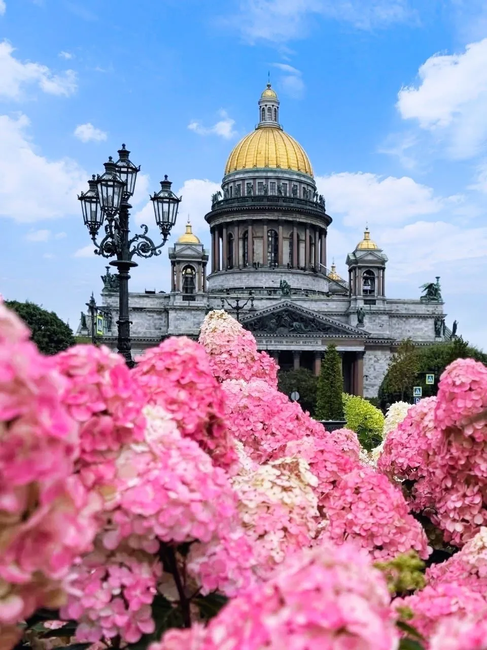 Уважаемые петербуржцы!