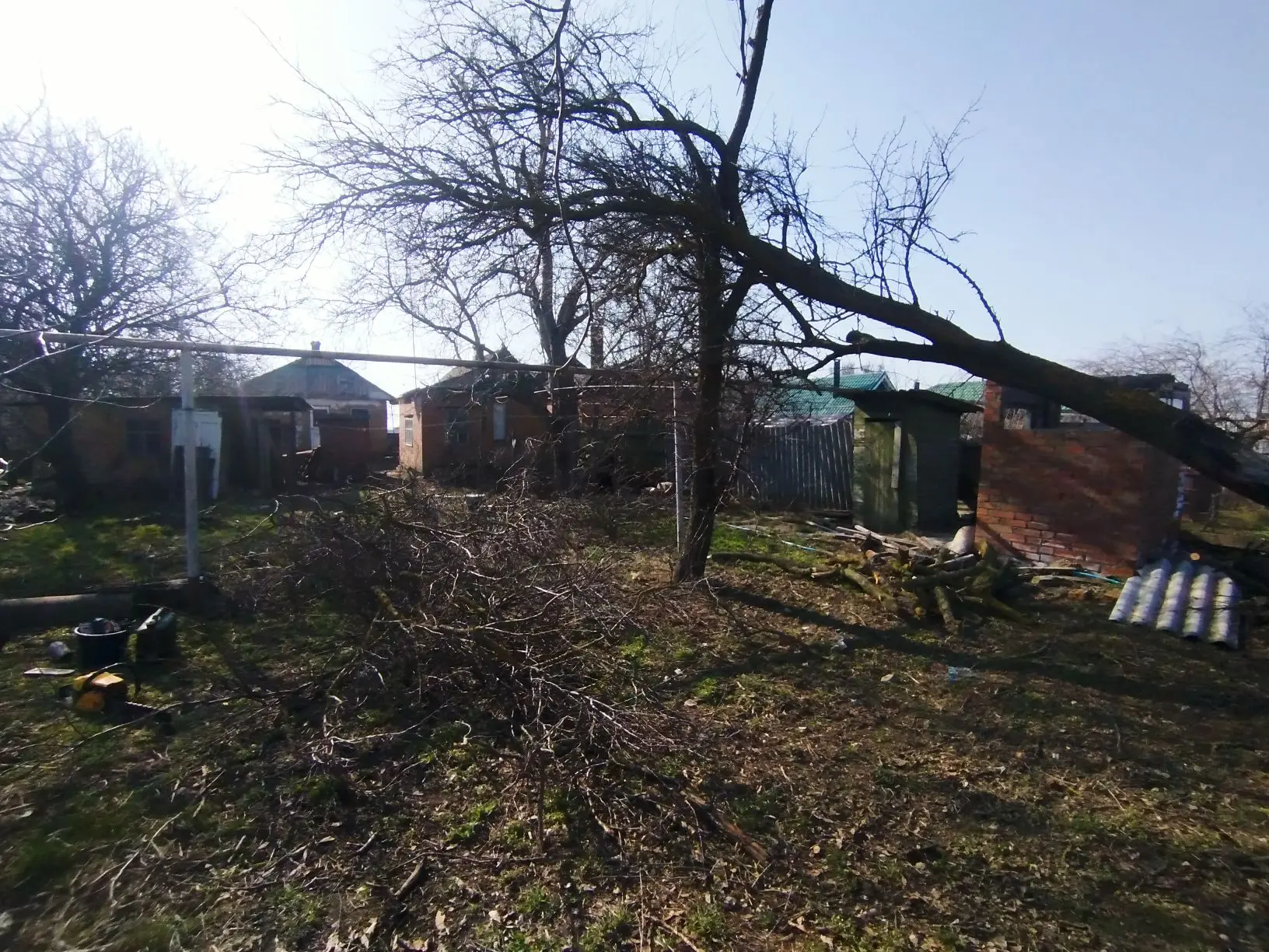 🌳 Было: опасное сломанное дерево, вызывающее беспокойство у жильцов частного дома.