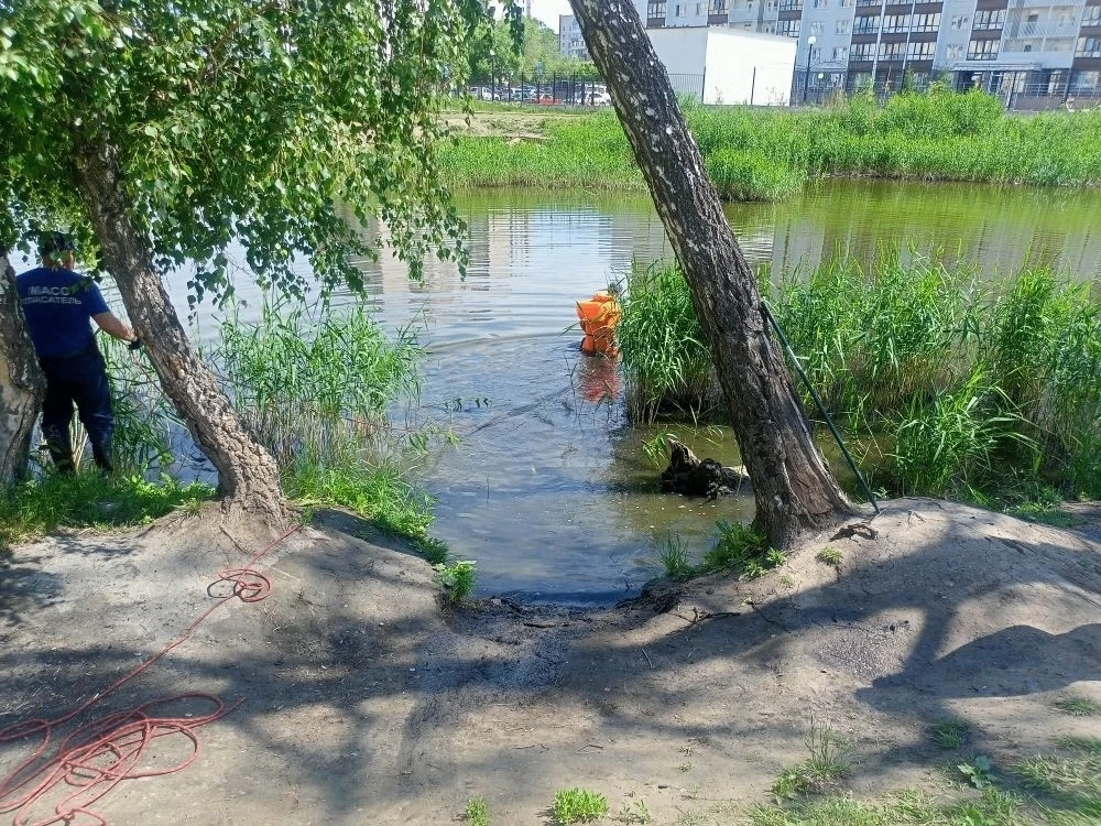 Хочется ещё раз сказать искреннее спасибо всем причастным к уборке озера на Акатуйском (Петухова, 12