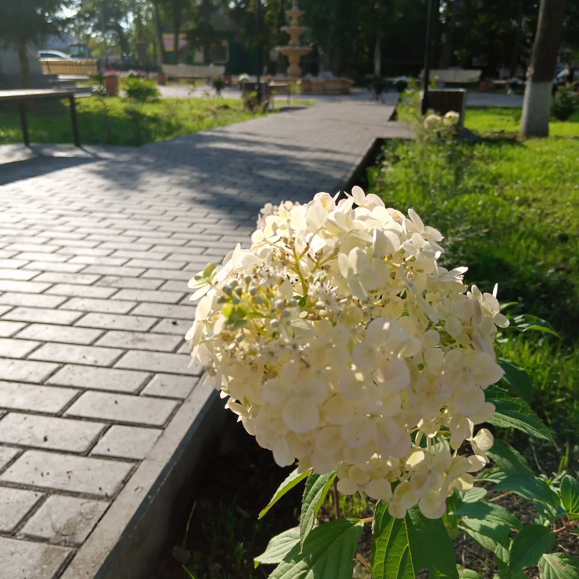 В Малмыже продолжаются работы по благоустройству общественной территории «Аллея Памяти»...