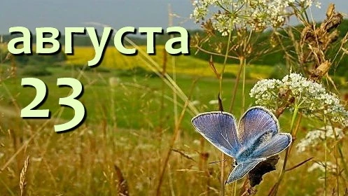 Жизнь состоит из простых, светлых, радостных моментов. Умейте радоваться утренней заре,...