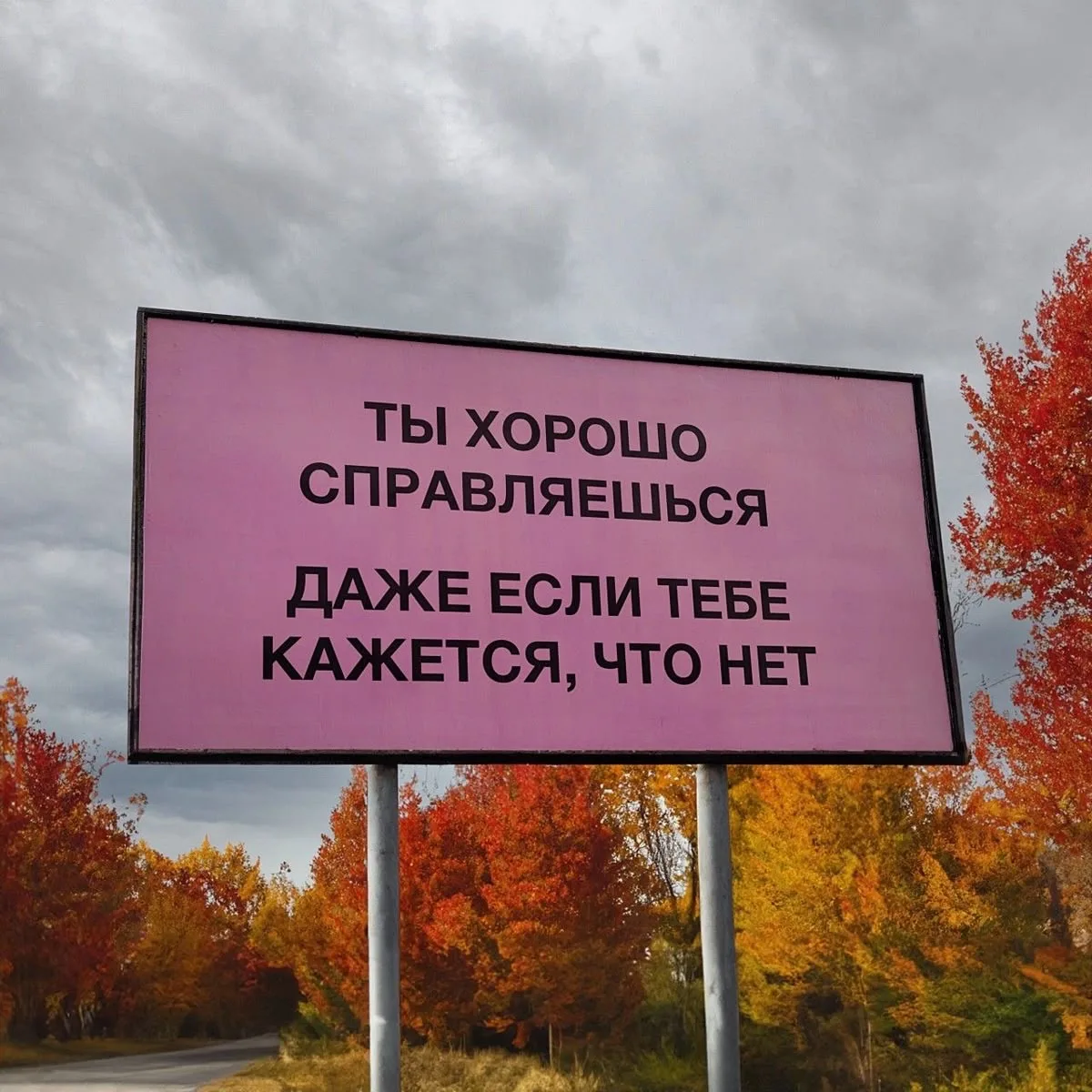 Бонжюр всем, вот вам принесла картинок в #добровторник ❤️