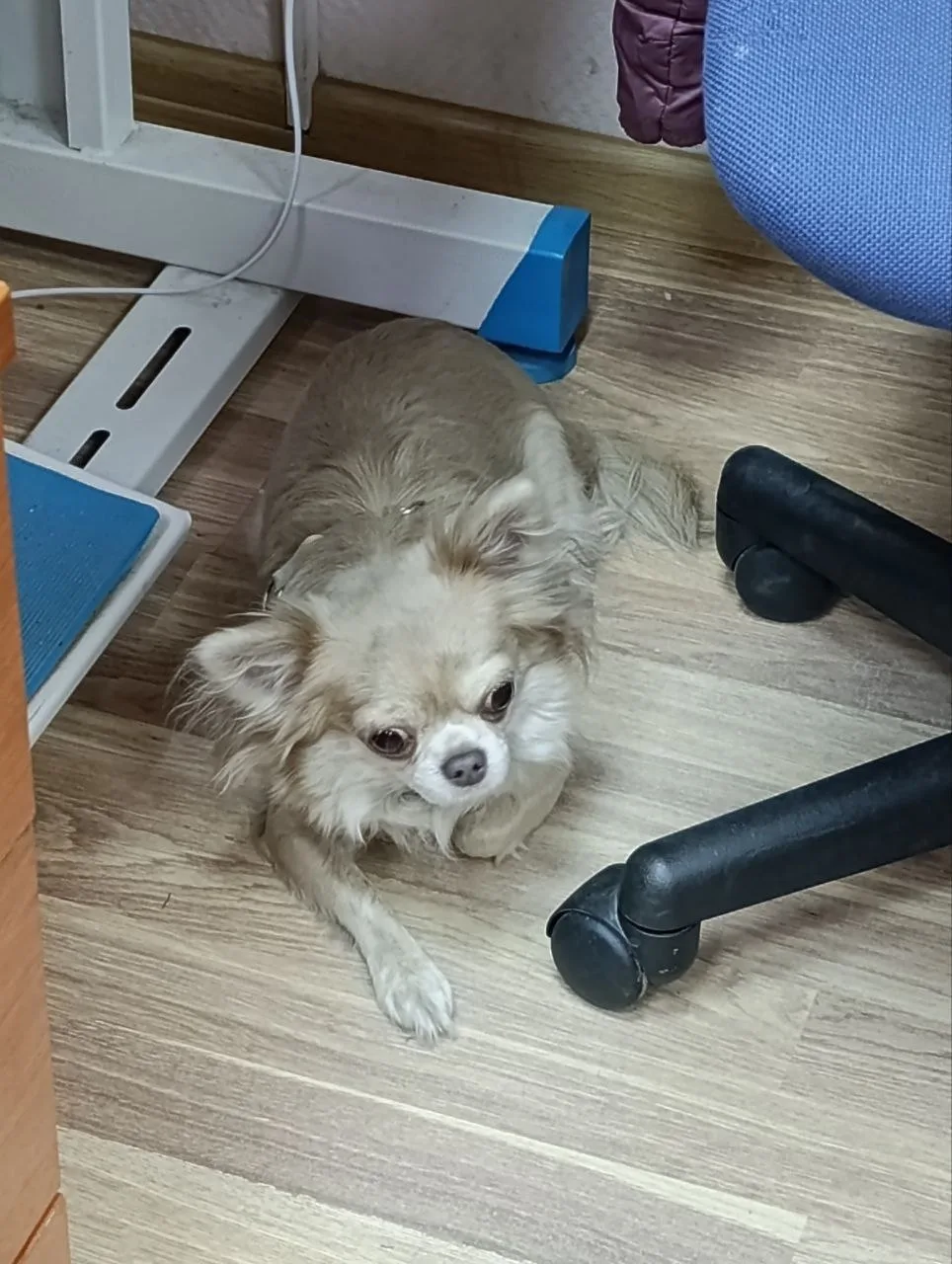 Доброго утра всем НАШИм! ❤️