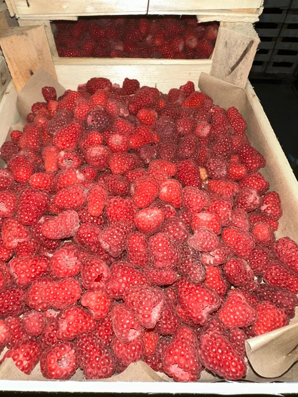 Малина, черешня, клубника - еще все есть в наличии! Приезжайте за вкусной ягодкой сегодня до 19.00! 
