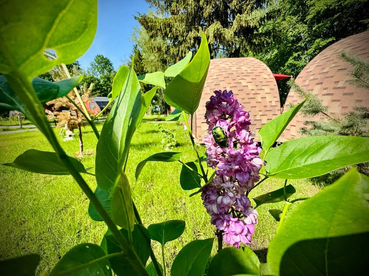 🌸 В конце недели природа зовёт нас на встречу!