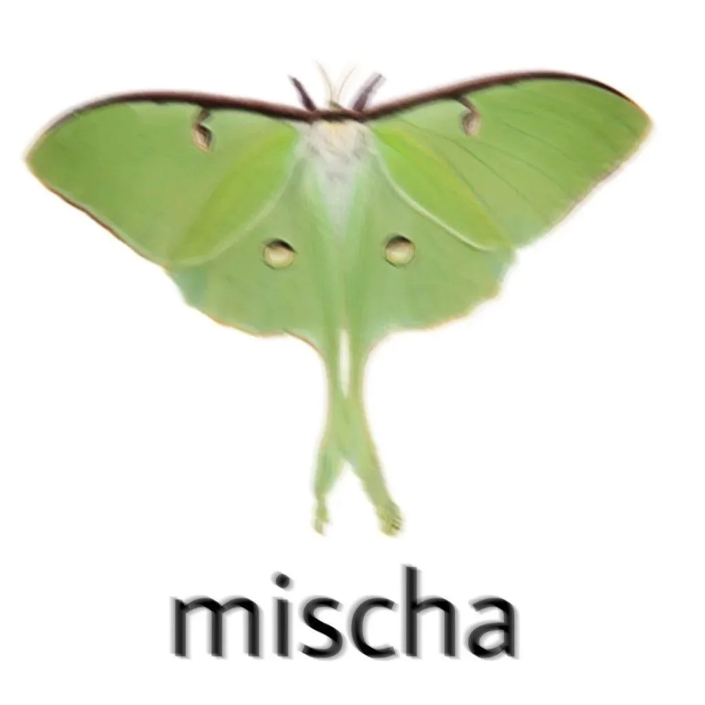 кидай мише
