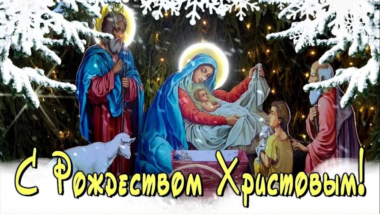 🌲🌲🌲Дорогие Друзья!