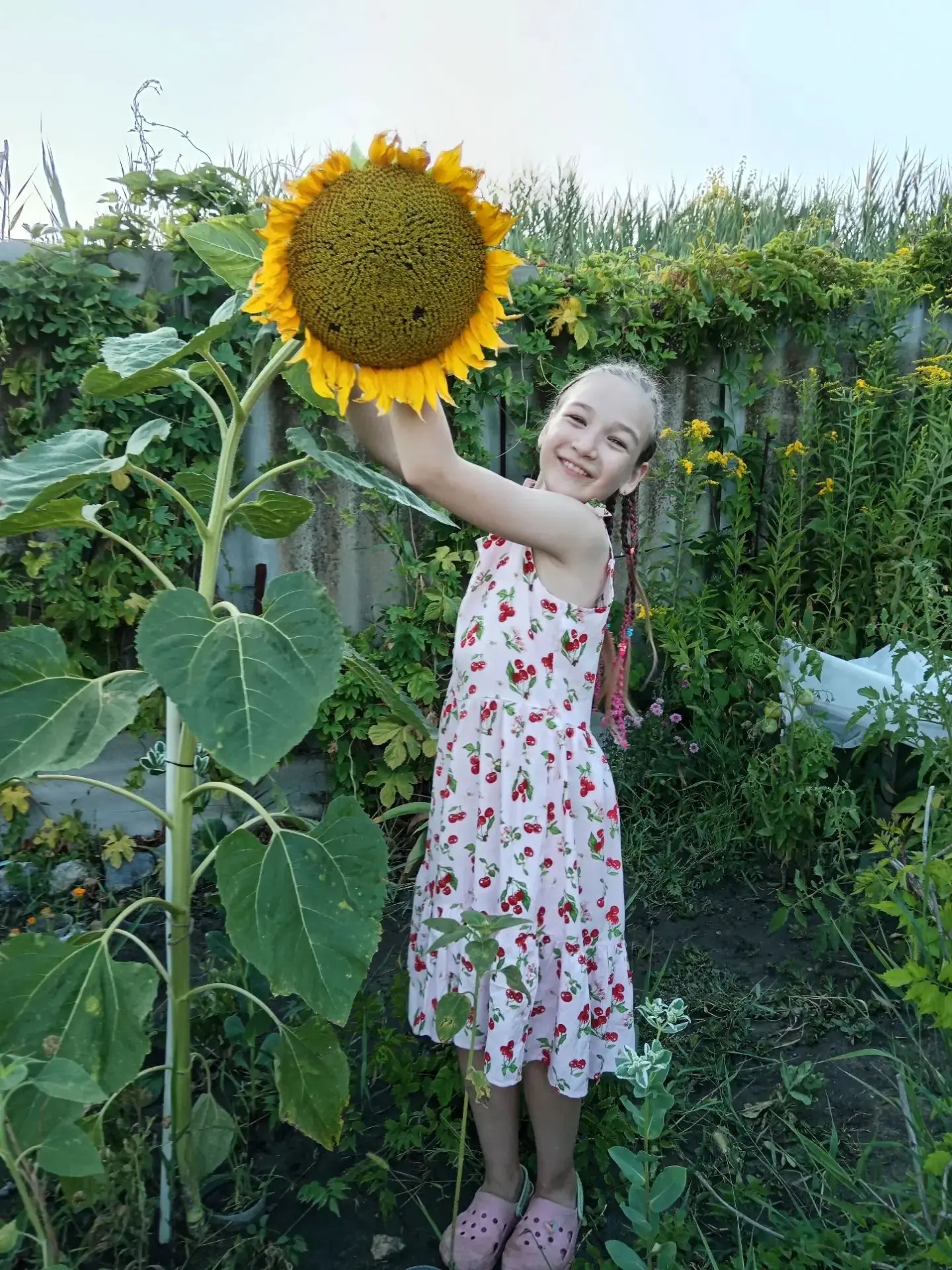 А Вы видели, такие подсолнухи???? 🌻🌻🌻#лето, #дача, #каникулы, #подсолнухи