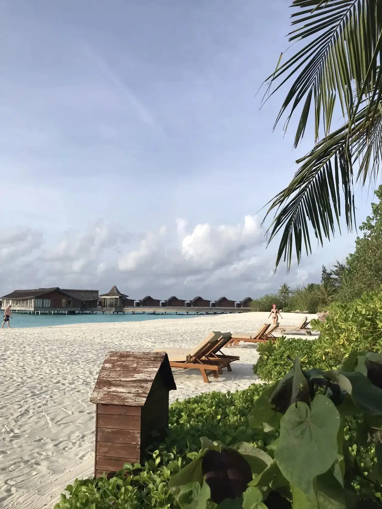 🏖 Горящие туры на Мальдивы 🩵🩵🩵 с включенным питанием, перелетом на Аэрофлоте ✈️