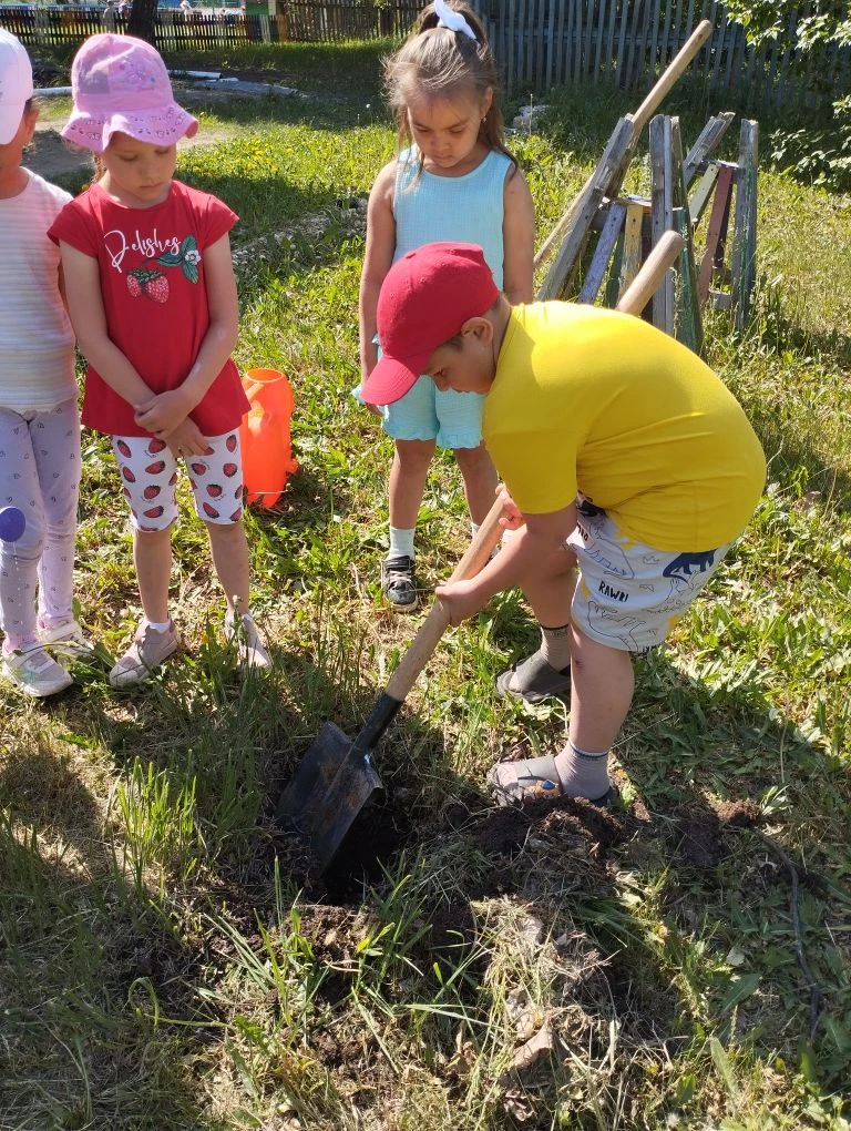 🌳 Наш сад стал добрее: аллея памяти пополнилась новыми деревьями!