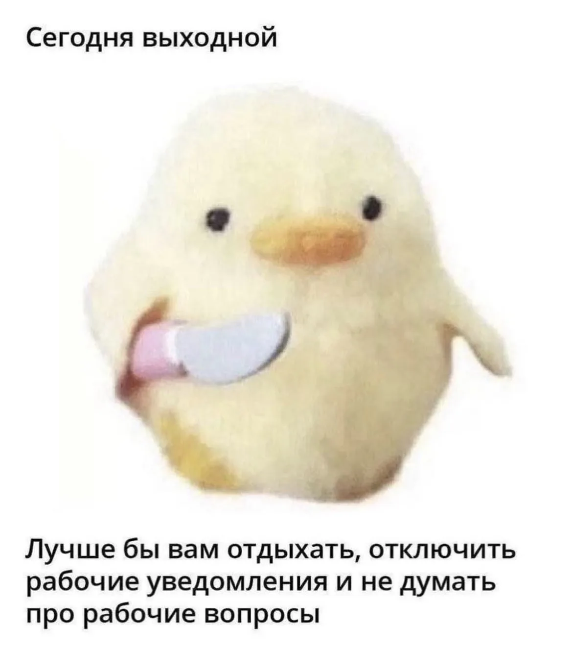 Желательно согласиться 🙃