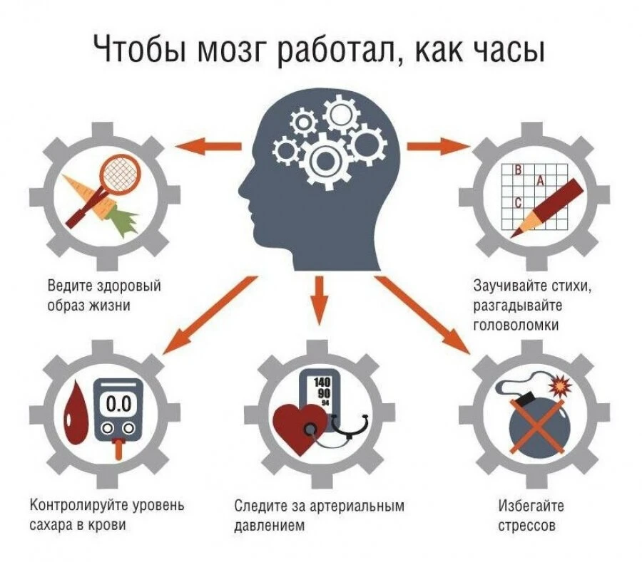 Чтобы мозг работал, как часы