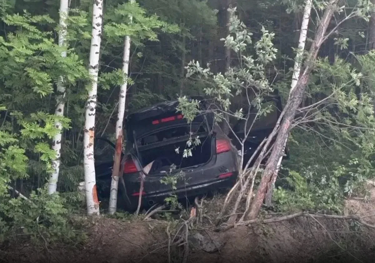 Неожиданно выбежавший на дорогу лось стал причиной аварии, в которой погибла девушка. 

В Ханты-Манс
